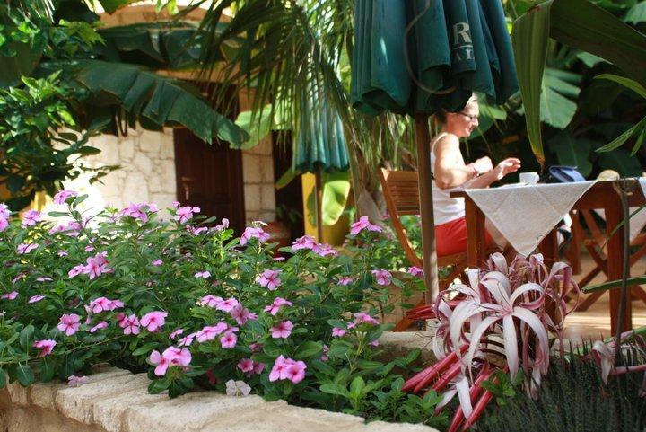 Guest House Orquidea 살 레이 외부 사진