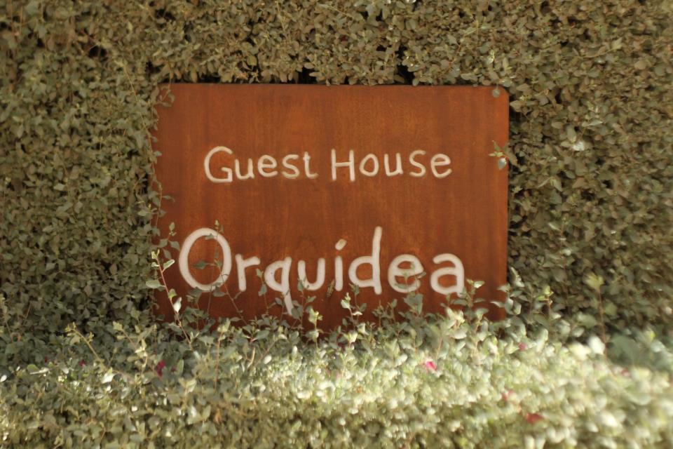Guest House Orquidea 살 레이 외부 사진