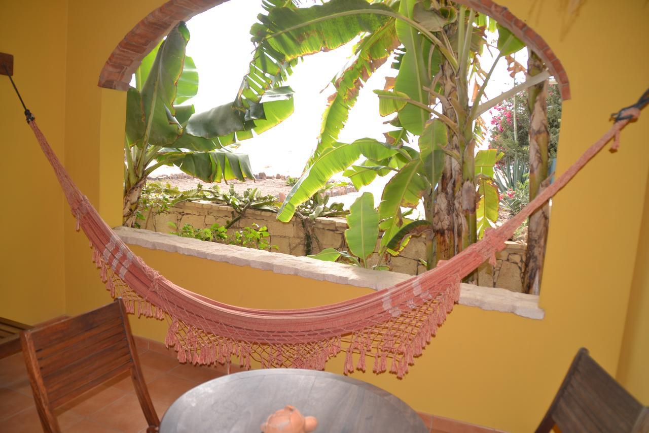 Guest House Orquidea 살 레이 외부 사진